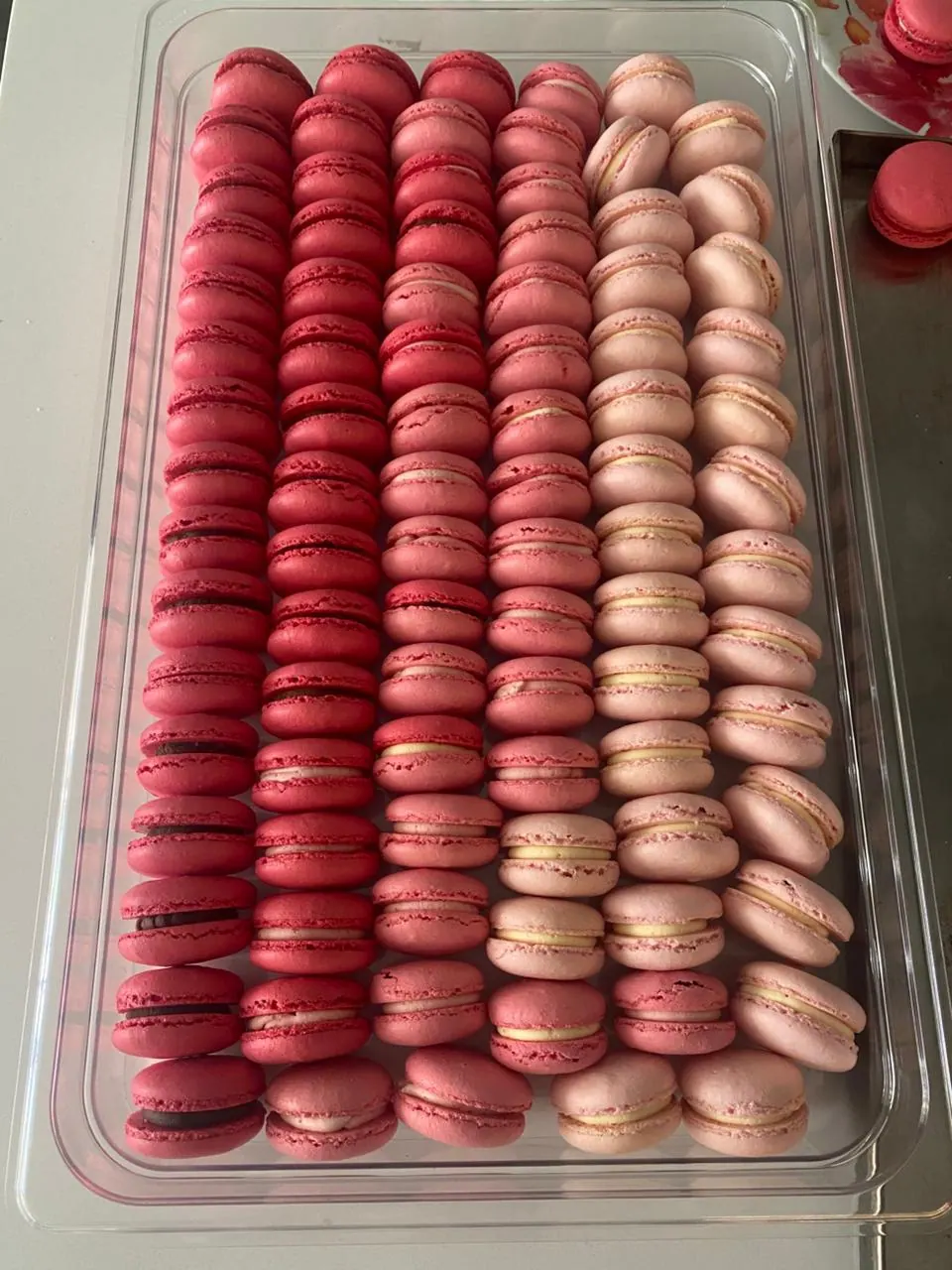 Fila de macarons rosados